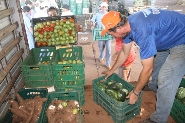 Sagri recebe diretores da rede estadual interessados em adquirir produtos da Agricultura Familiar. Foto: Enerson Cleiton