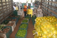 Sagri recebe diretores da rede estadual interessados em adquirir produtos da Agricultura Familiar. Foto: Enerson Cleiton